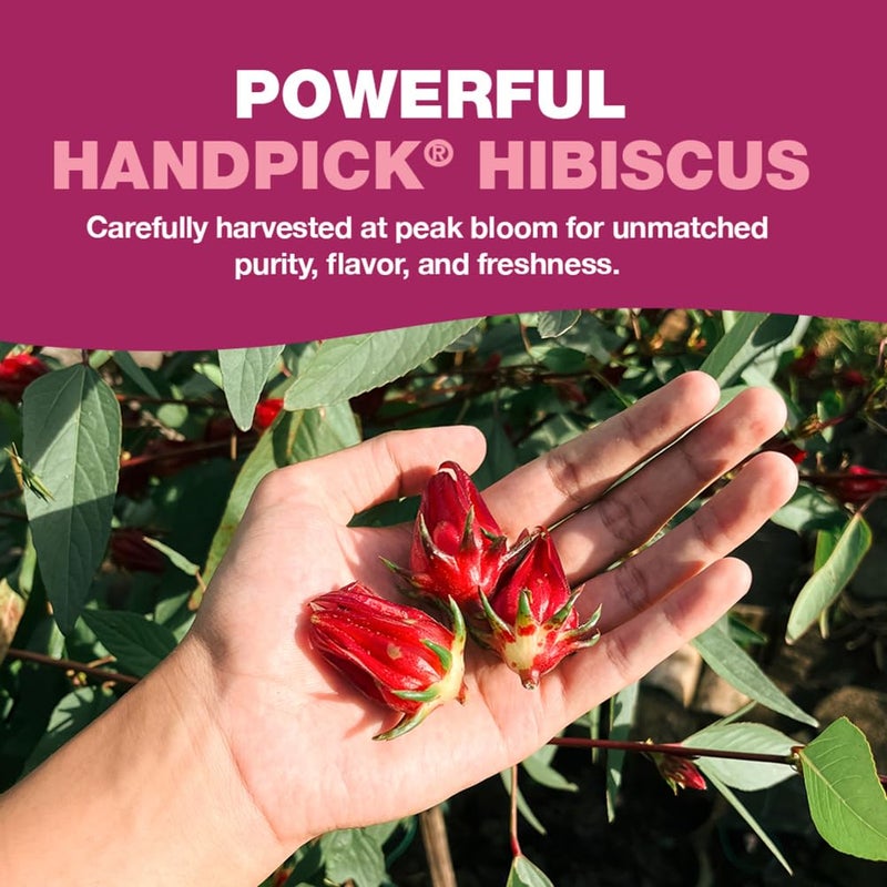 HANDPICK, Organic Hibiscus Tea Bags (100 Tea Bags) | Caffeine-Free, 100% Natural Pure Indian Hibiscus Flowers | Ayurvedic Benefits in every sip - Image 3